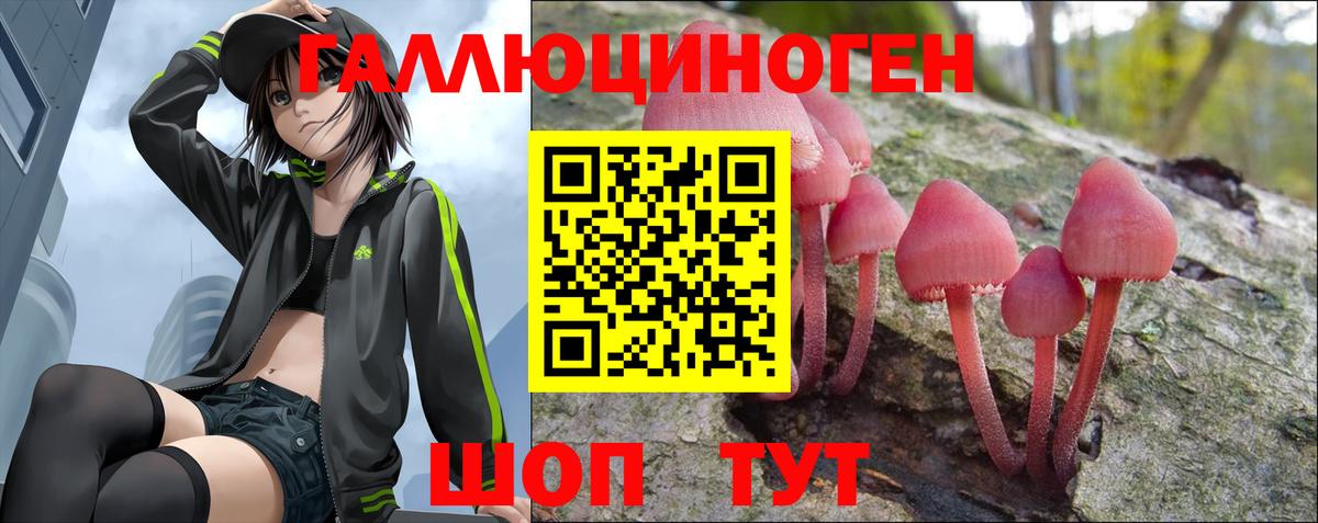 Кировск  Галлюциногенные грибы GOLDEN TEACHER  Вход с VPN 